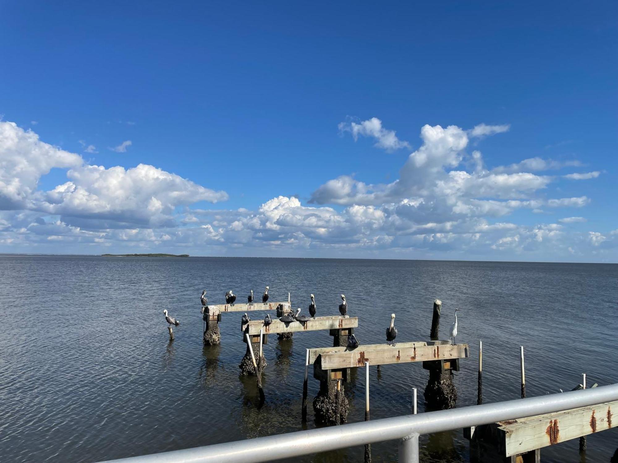 Cedar Key Florida Condo At Park Place 外观 照片